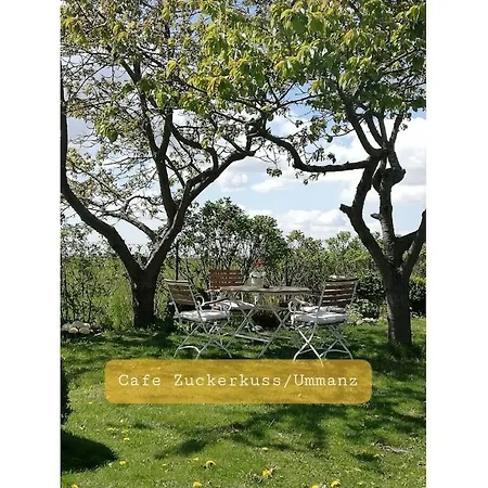 Schwanke's Seeadler 펜션 Mursewiek