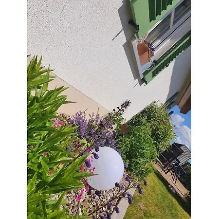 Schwanke's Seeadler * Mursewiek