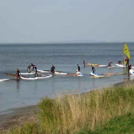 Schwanke's Seeadler *